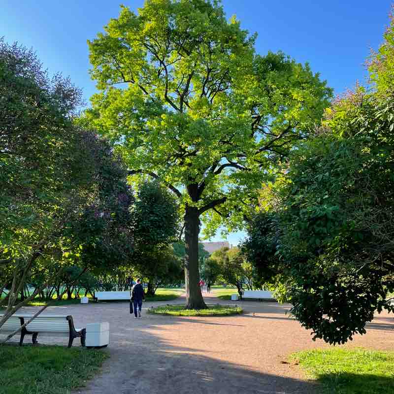 🍀 Lesya 🍀 post 2