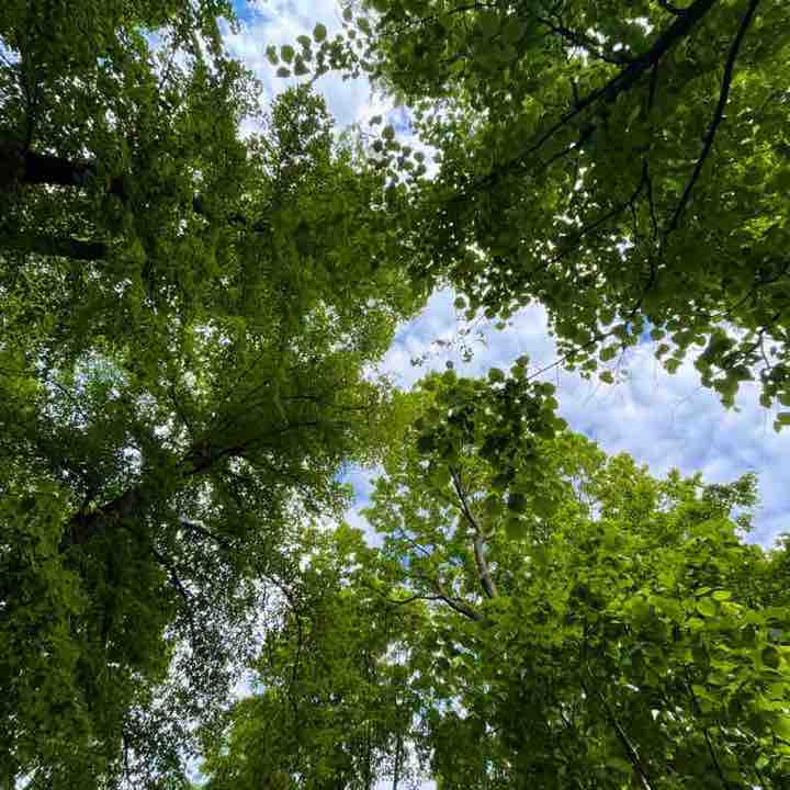 🍀 Lesya 🍀 post 2