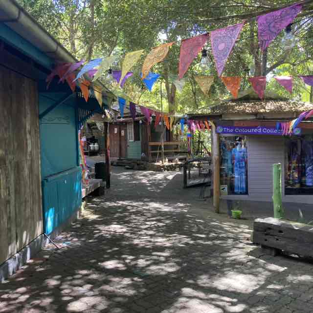 Little Aussie Battlers 🦋 Didi 🦋 🇦🇺 post image