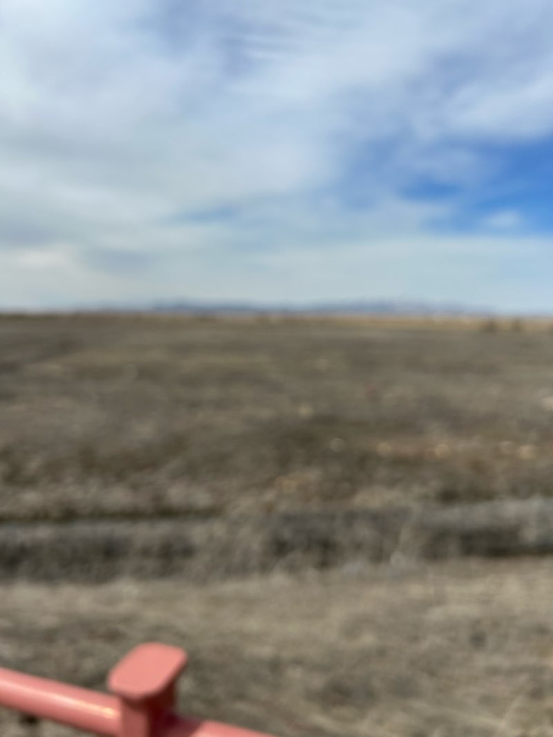 walking near me in Mountain View Park in winter