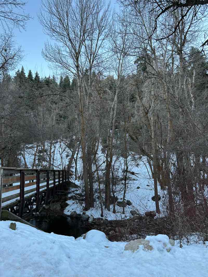 walking near me in Mueller Park in winter