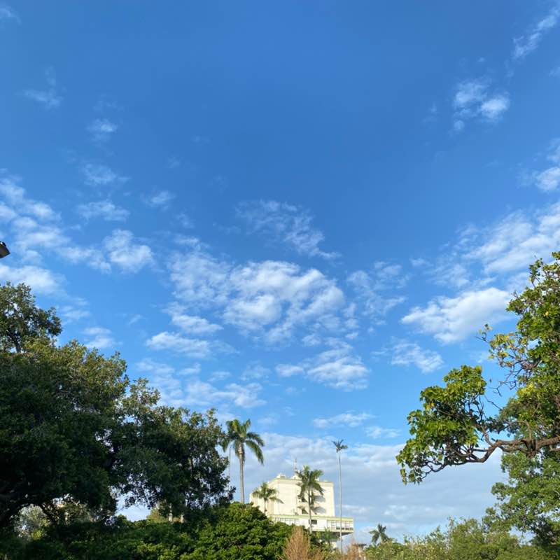 在人間修練的癬鋁 post 3