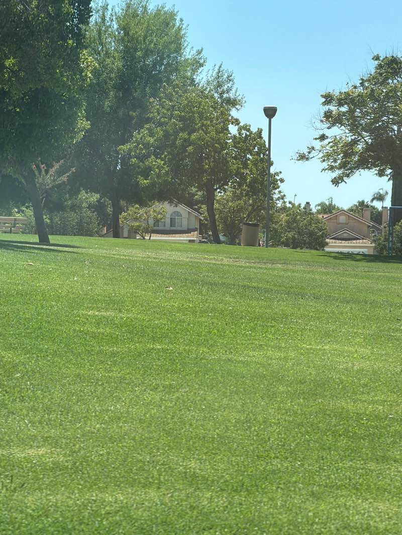 walking near me in Bergmont Park in summer