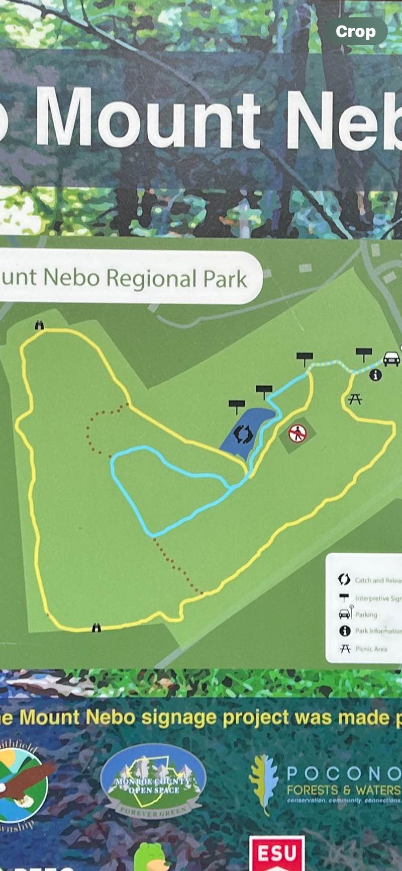 walking near me in Mount Nebo Park in winter