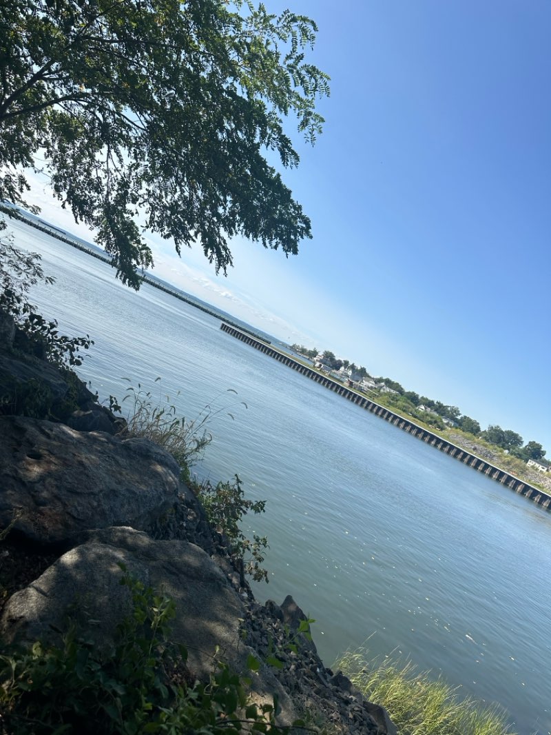 walking near me in Harbor Point Commons Park in autumn