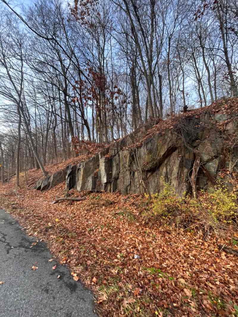 walking near me in Turkey Mountain East Unit in autumn