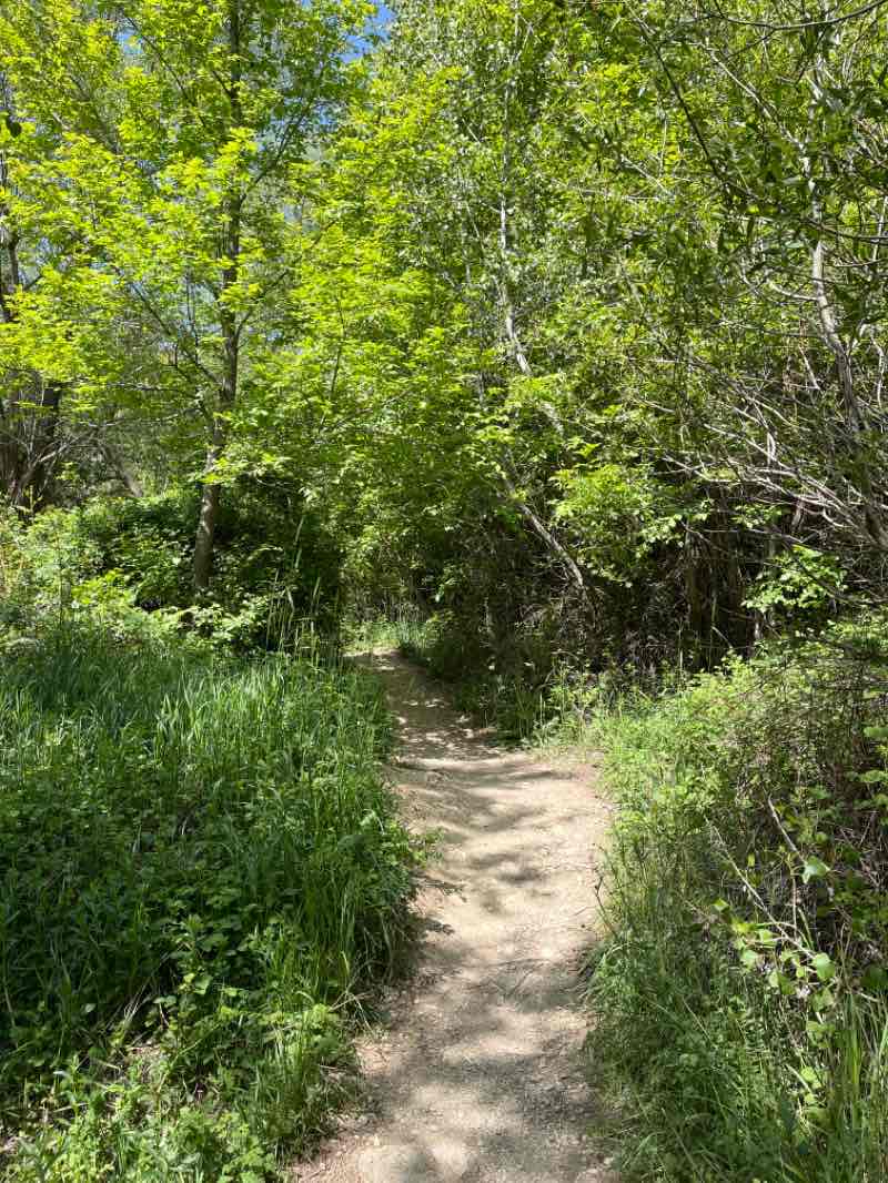 walking near me in Abidar Park in winter