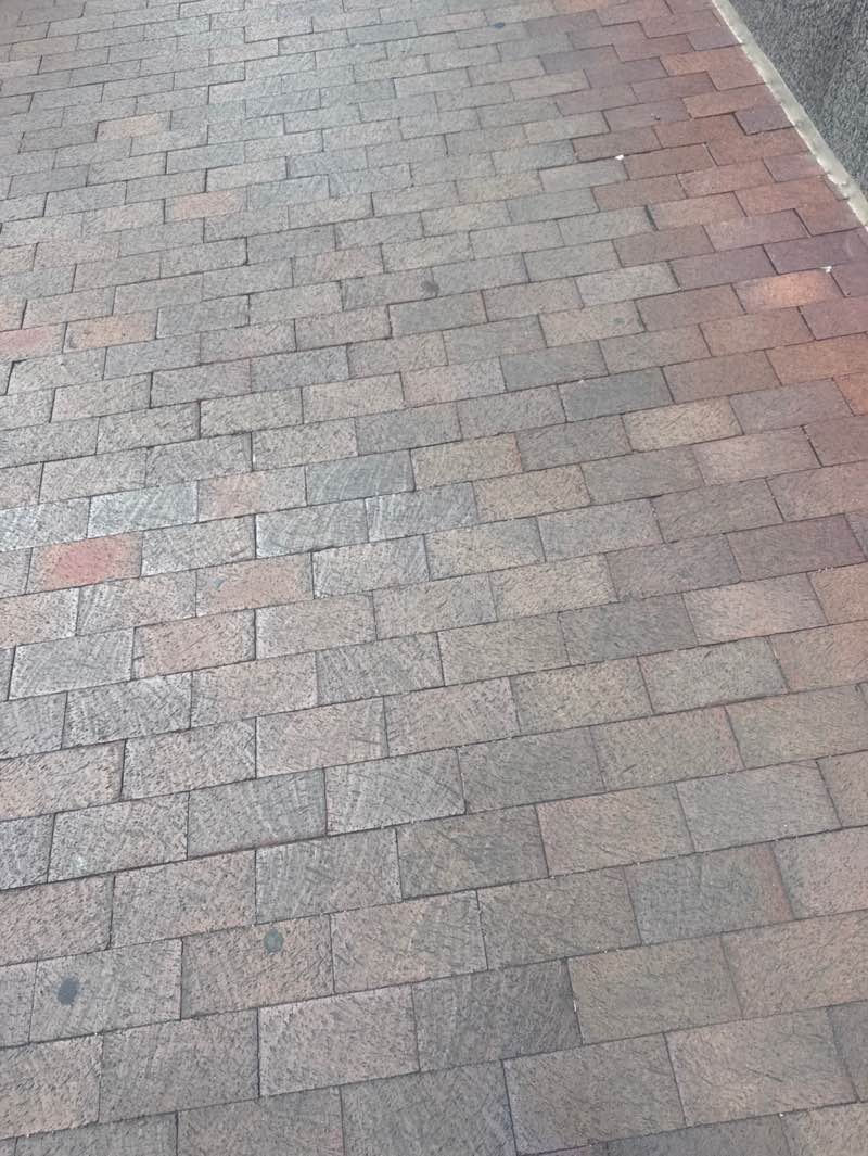 walking near me in Elbel Field in autumn