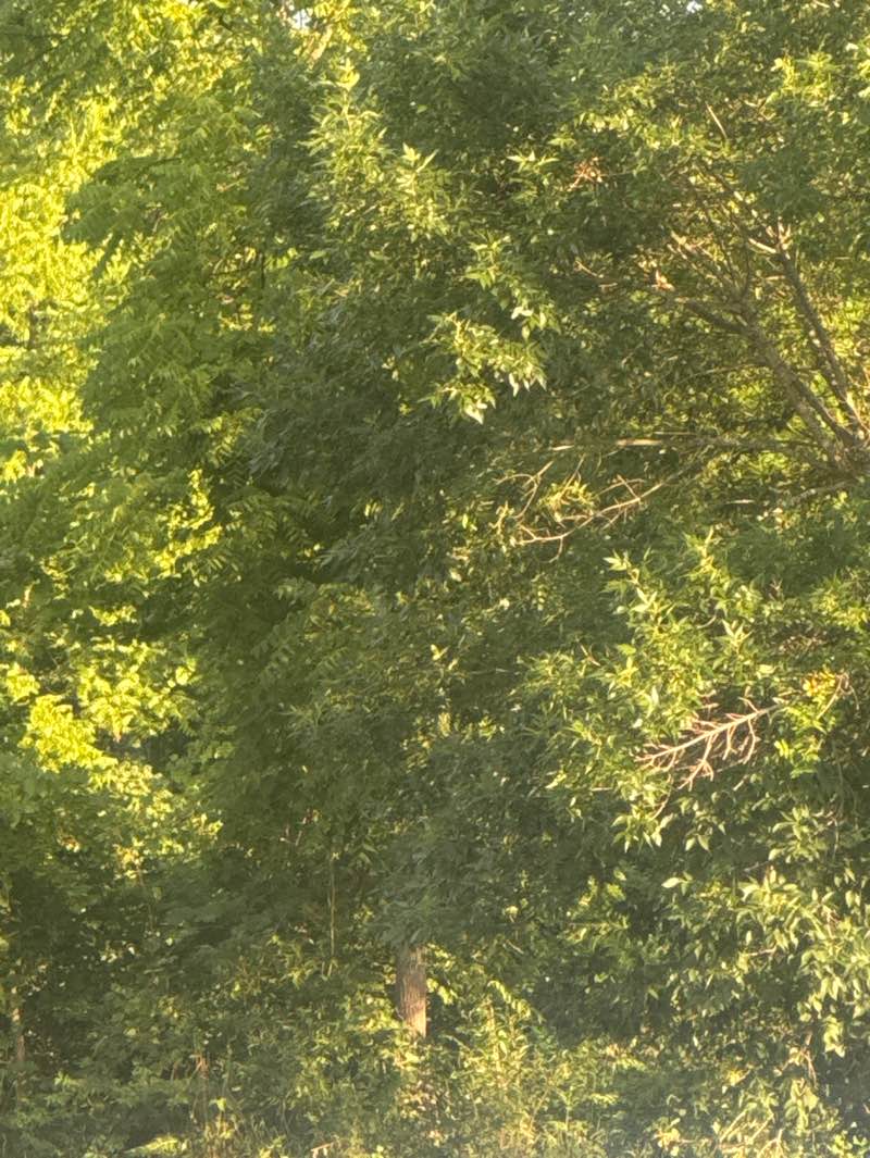 walking near me in Fenton Mill Pond Park in autumn