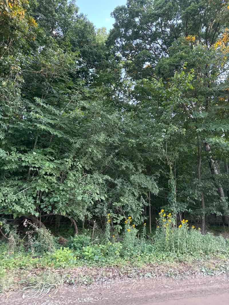 walking near me in Seven Lakes State Park in autumn