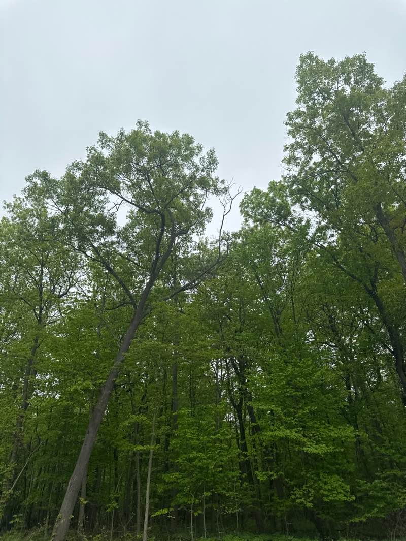 walking near me in Seven Lakes State Park in summer