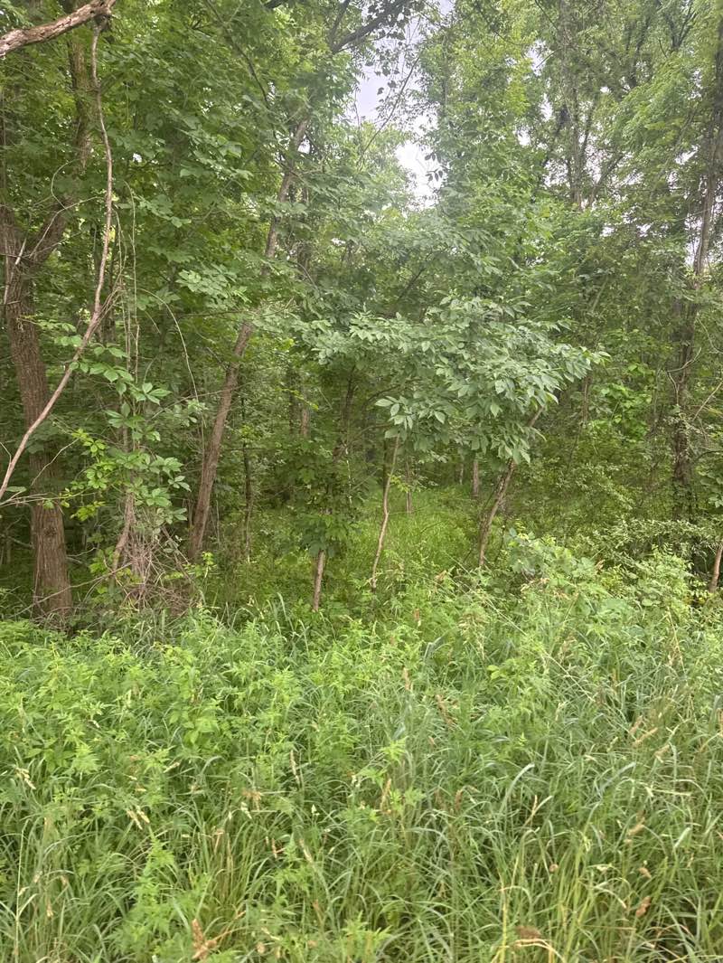 walking near me in Seven Lakes State Park in summer
