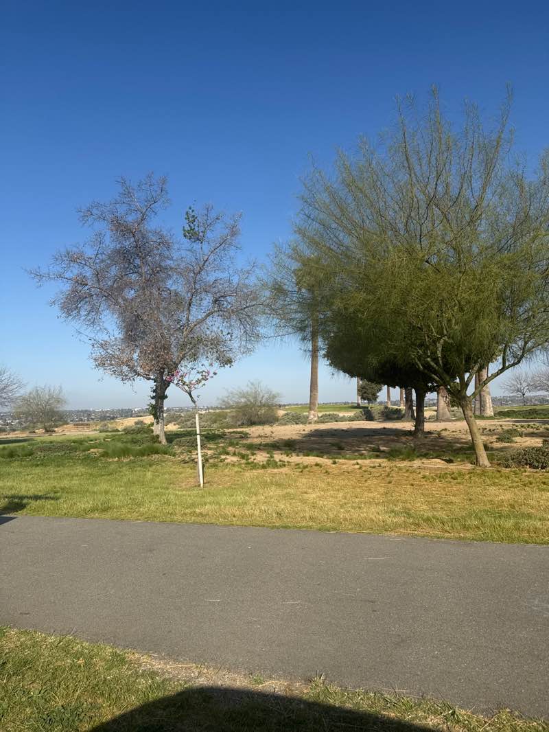 walking near me in Panorama Park in spring