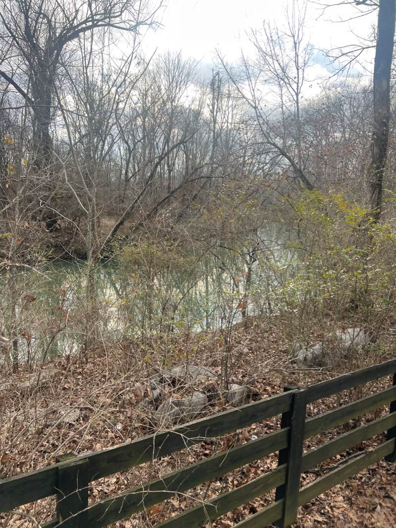 walking near me in Gregory Mill Dam Park in winter