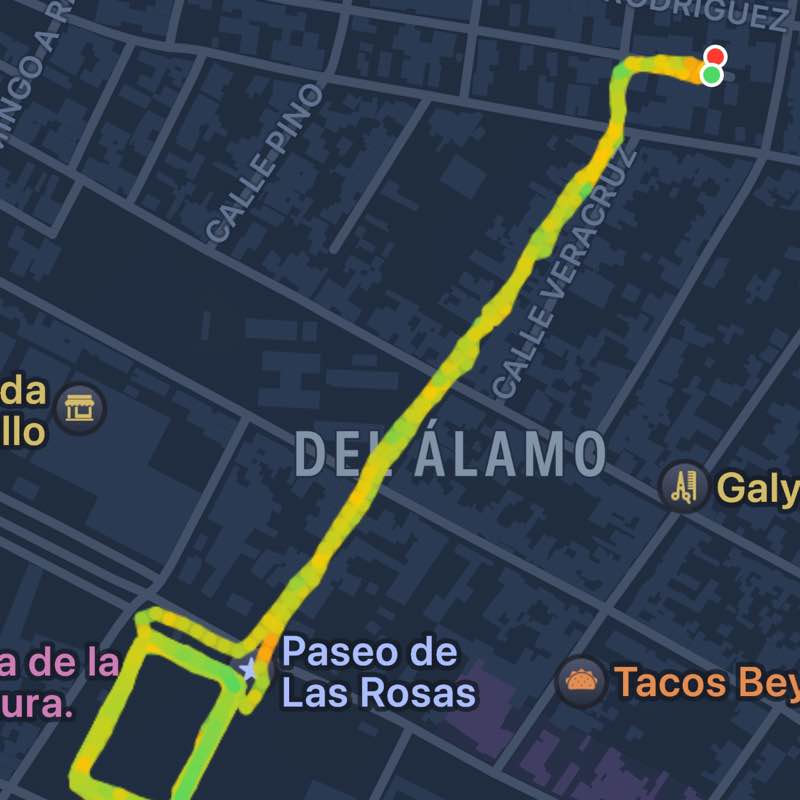 January 5k Race #4 Ema 🇲🇽 post image