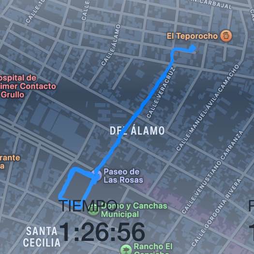 Tripu𝐥𝐚𝐜𝐢ó𝐧 Fantasma 👻 Ema 🇲🇽 post image