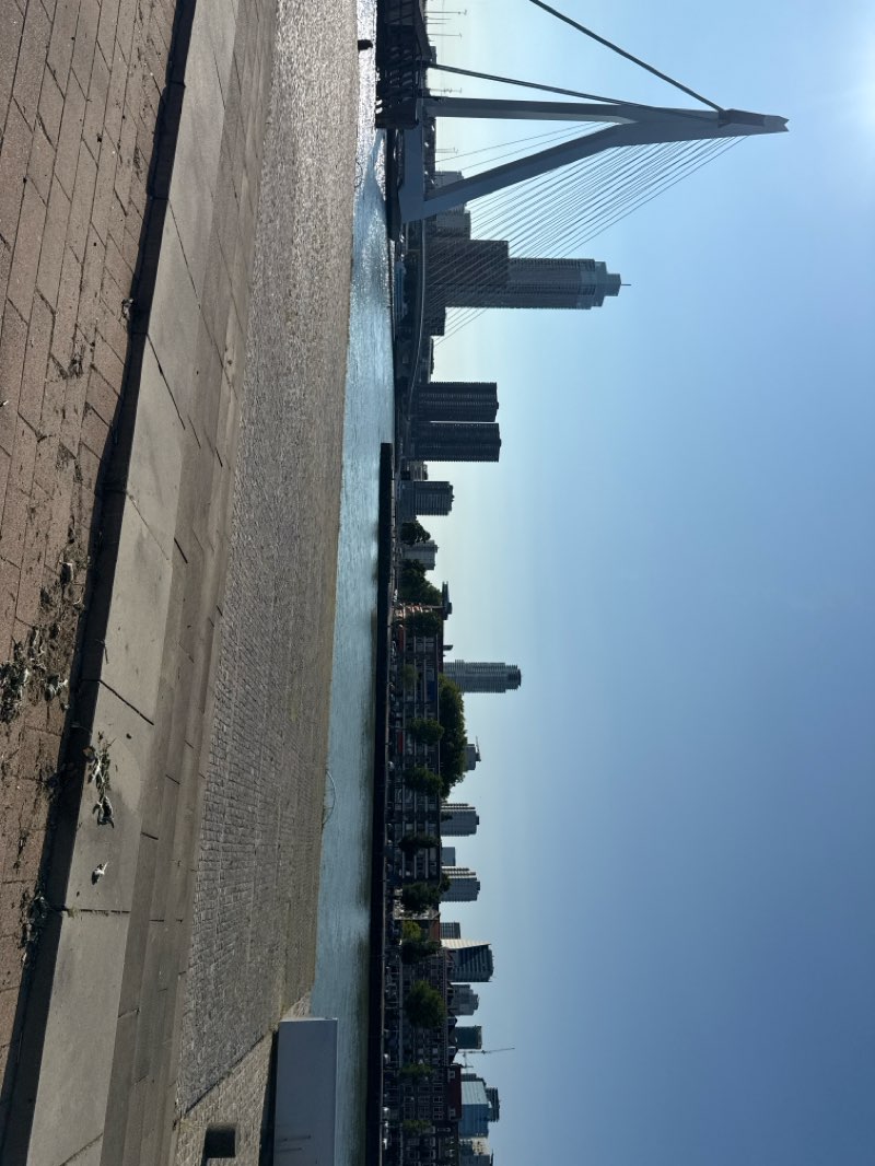 walking near me in Leuvehoofd in summer