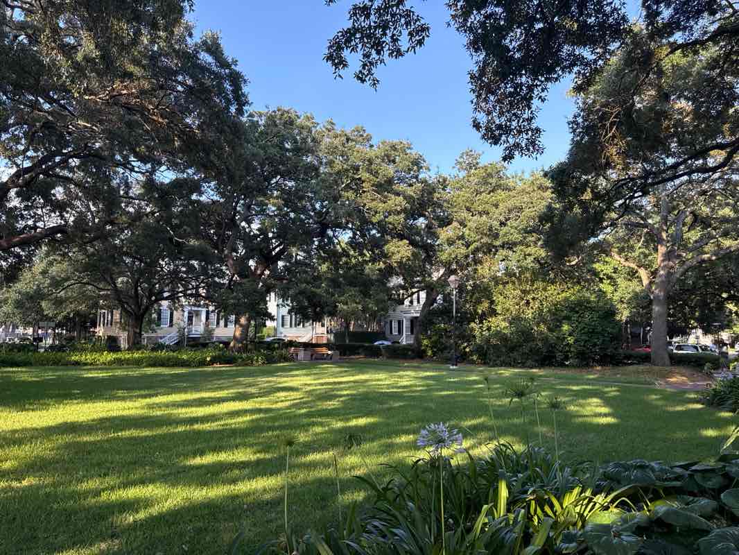 walking near me in John Rousakis Riverfront Plaza in autumn