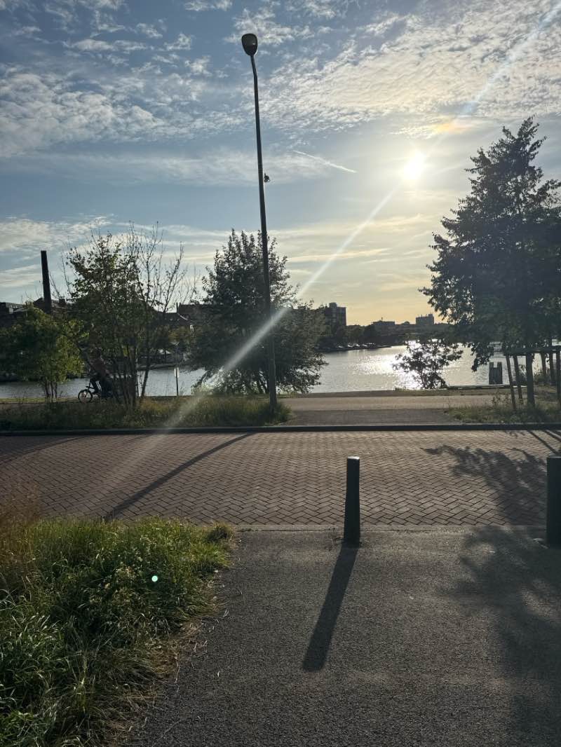 walking near me in Museumpark in autumn