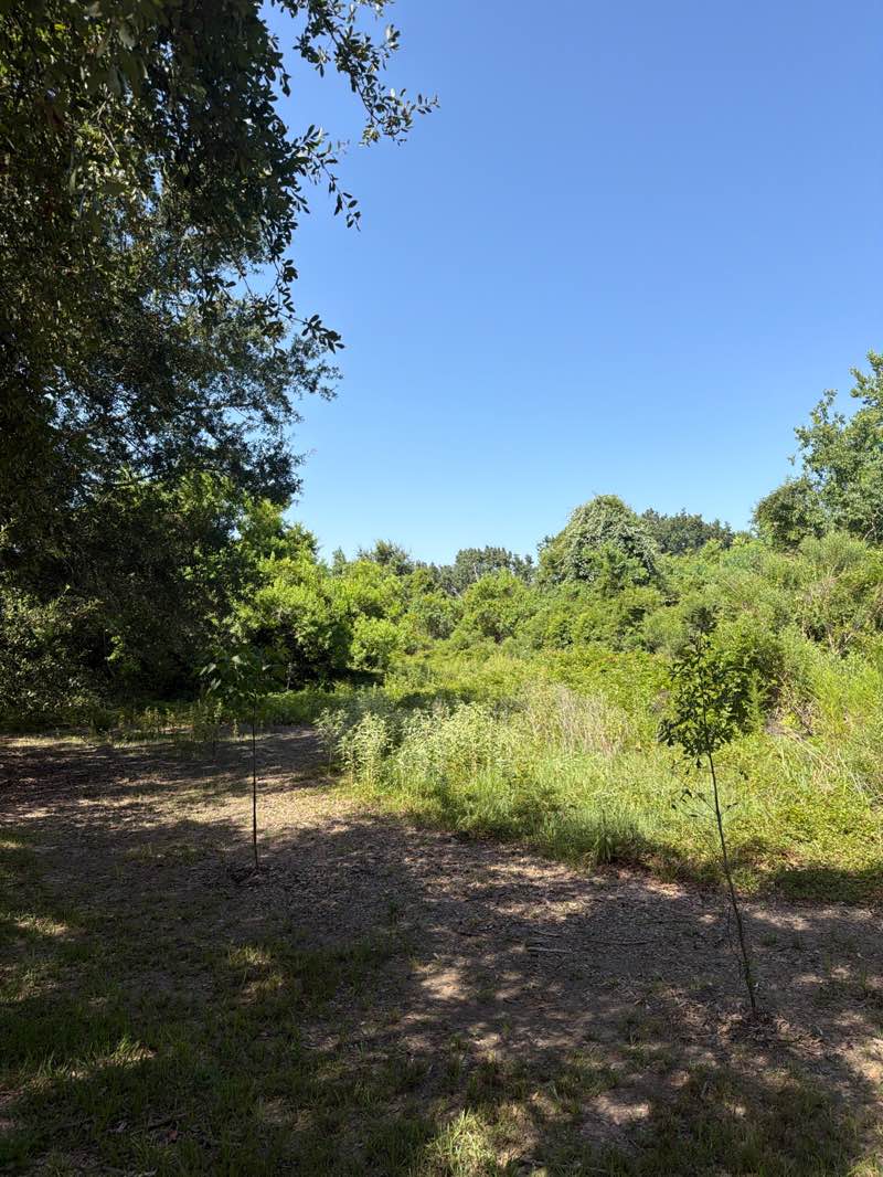 walking near me in Seabrook Wildlife Refuge & Park in summer