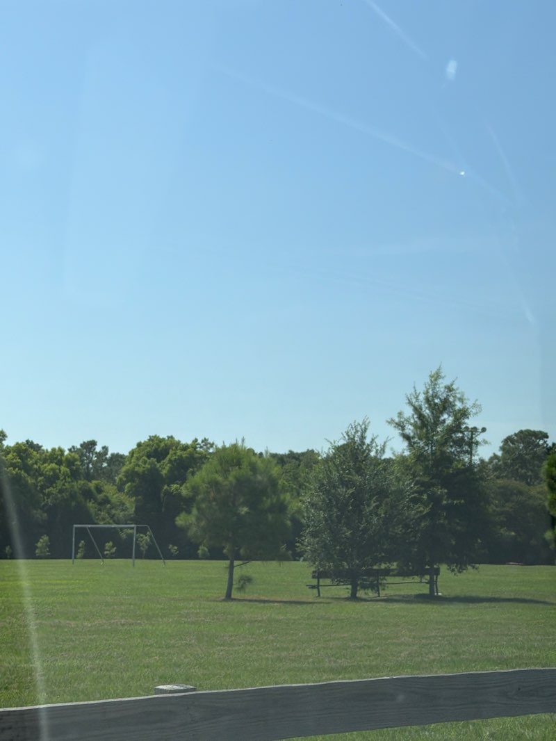 walking near me in Friendship Park in summer