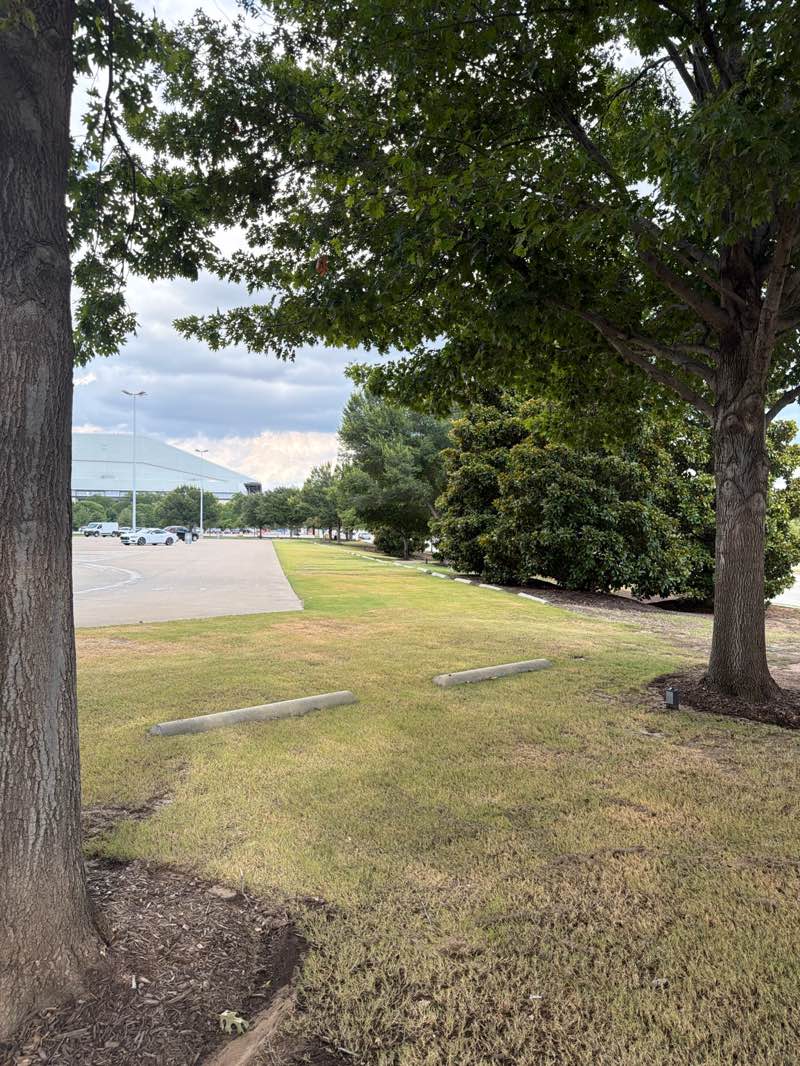 walking near me in Richard Greene Linear Park in summer