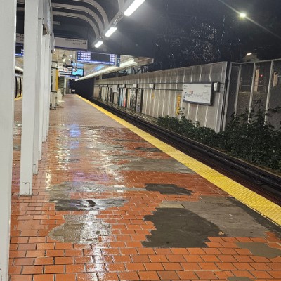 HC Steptember Challenge 2025 Starky post image