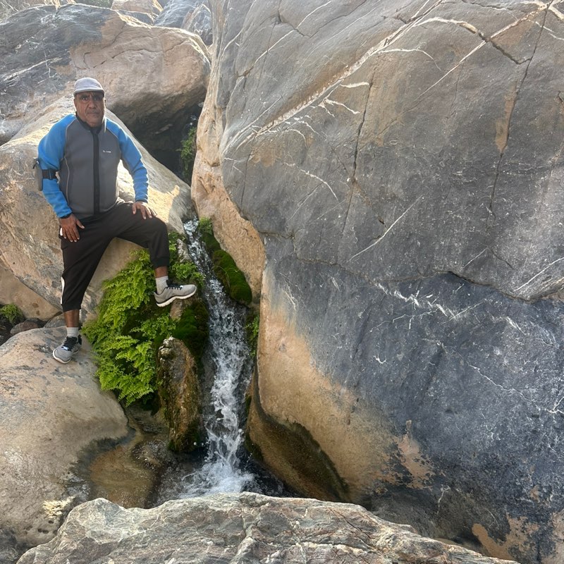 ابو رائد الشهومي profile