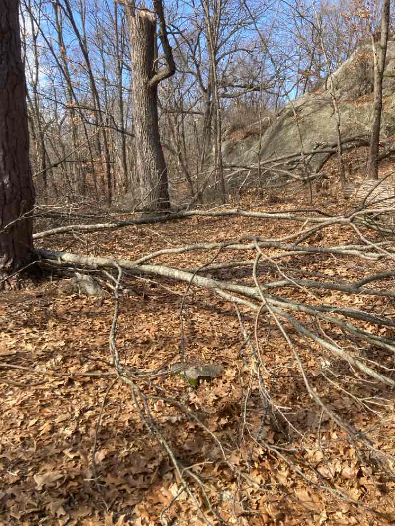 walking near me in Den Rock Park in winter