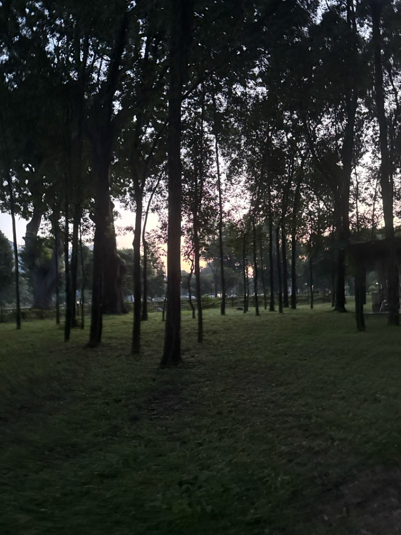 walking near me in Công viên Gia Định in autumn