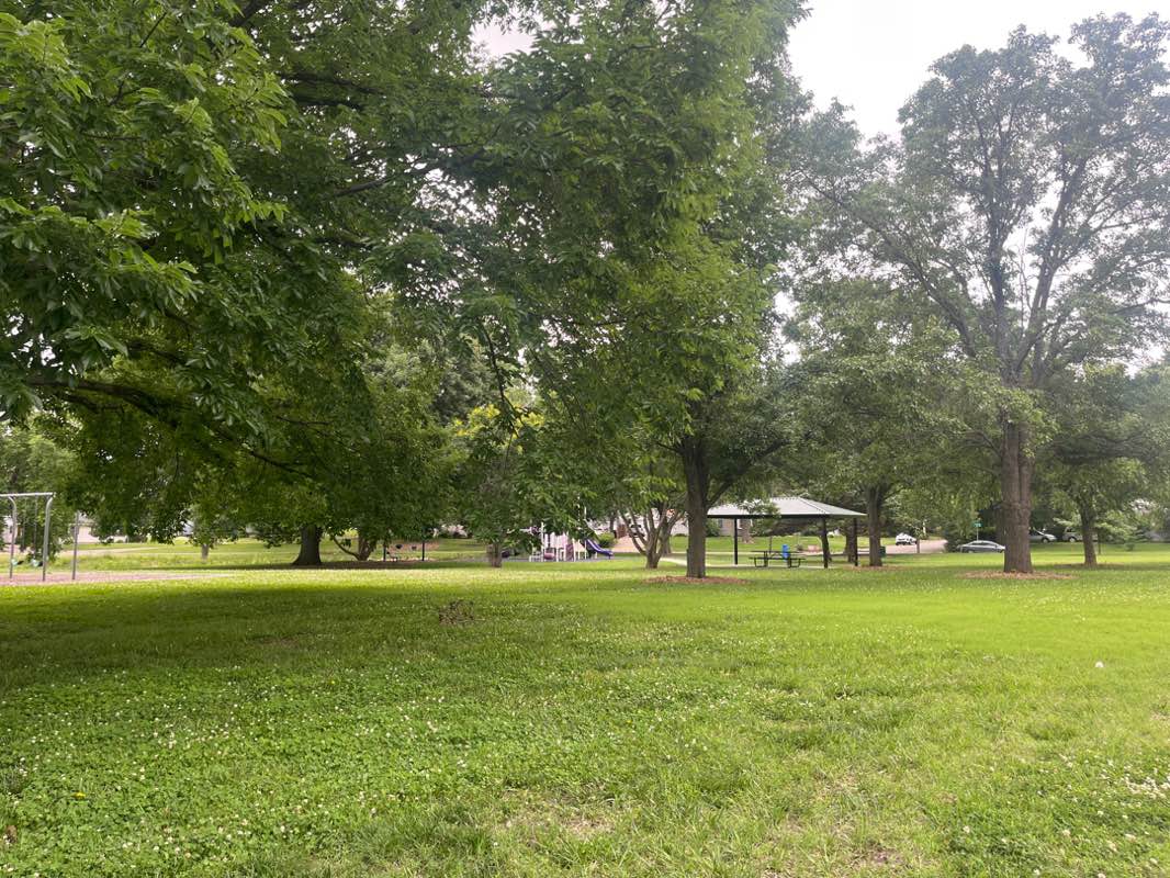 walking near me in Hillsdale Park in summer
