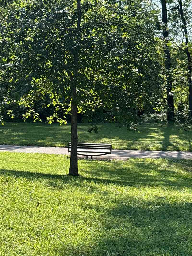 walking near me in Lincoln Park in summer