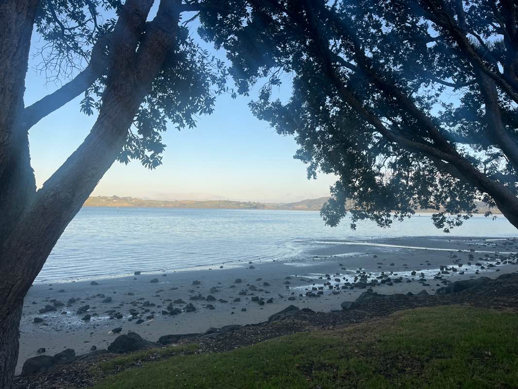 walking near me in Beach Road Reserve in winter