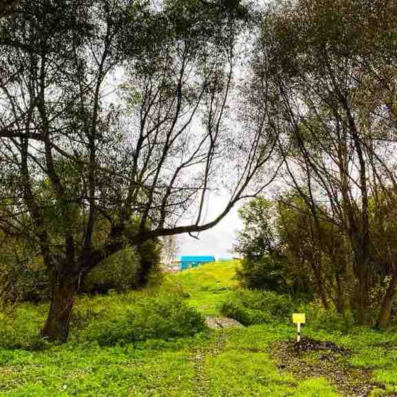 Анастасия Павлова post 3