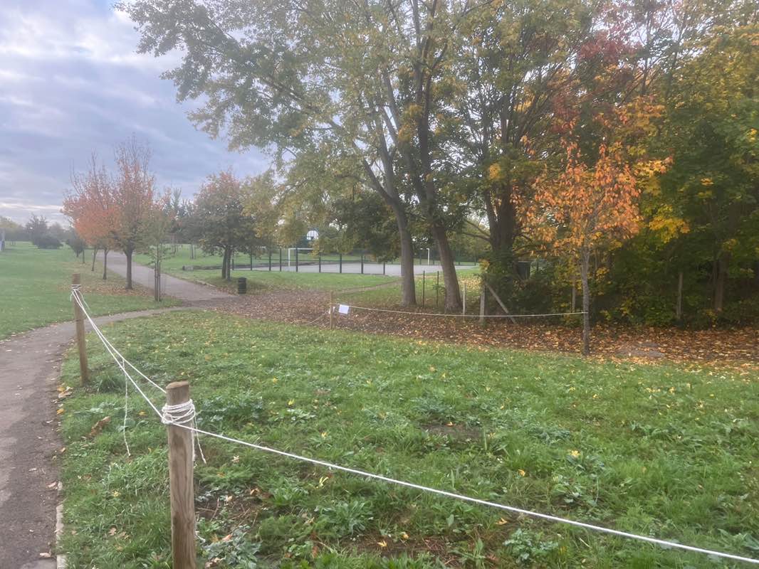 walking near me in Thornbury Playing Fields in autumn