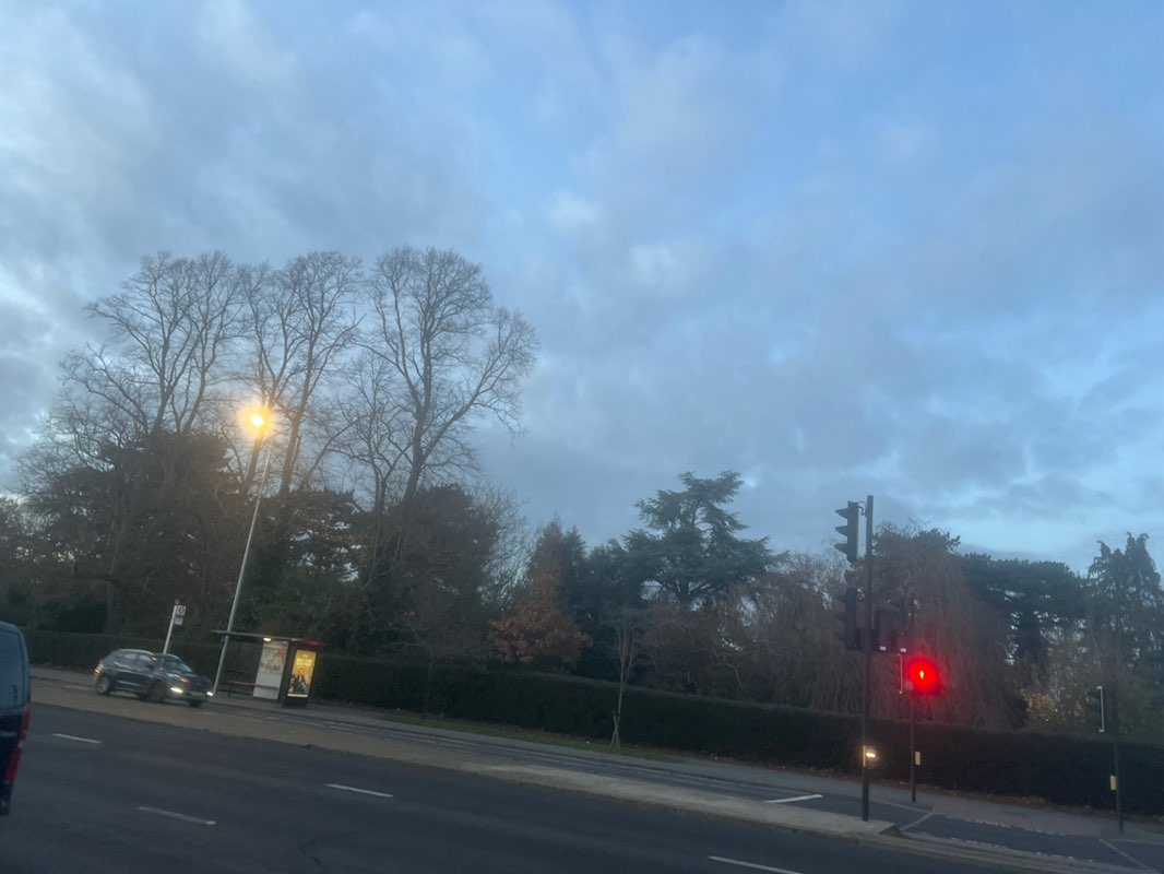 walking near me in Jersey Gardens in autumn