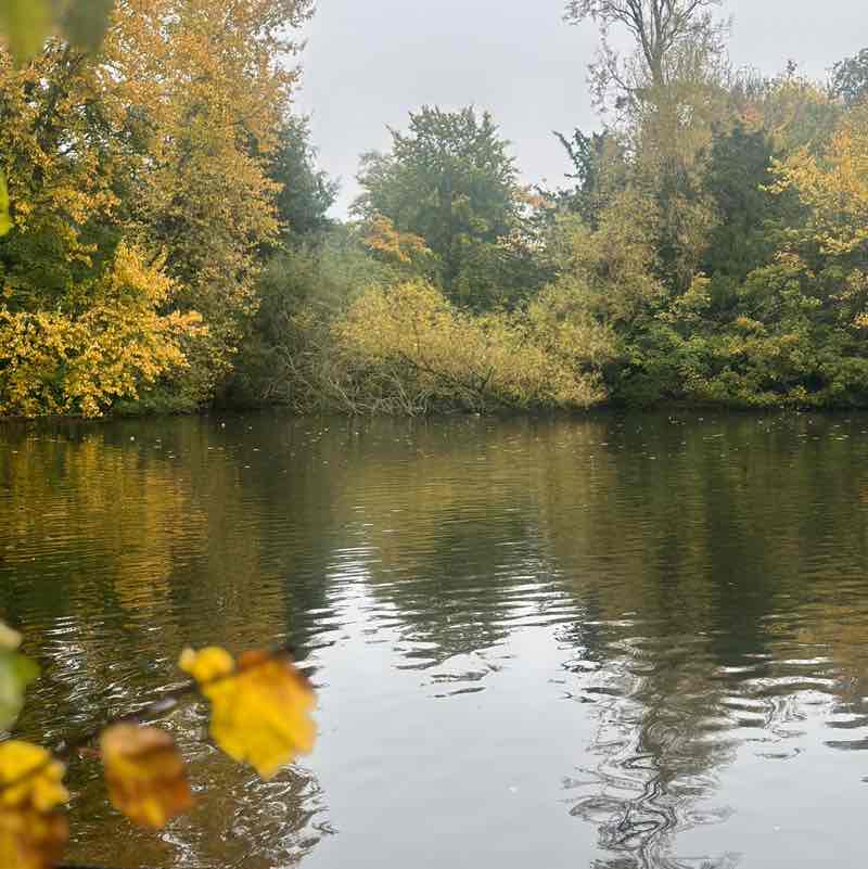 The Optimists Jo 🇵🇱🏴󠁧󠁢󠁥󠁮󠁧󠁿 post image