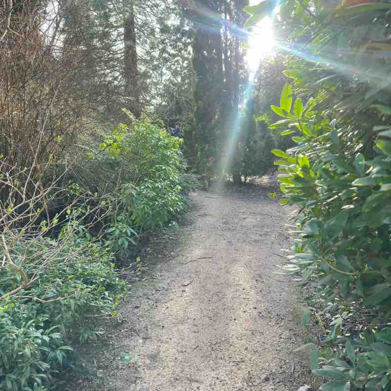 Polska 🇵🇱 Jo 🇵🇱🏴 post image