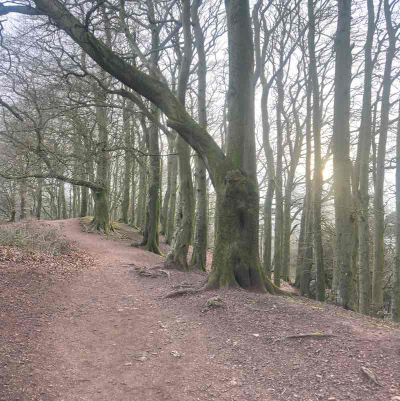 Jo 🇵🇱🏴󠁧󠁢󠁥󠁮󠁧󠁿 post 3