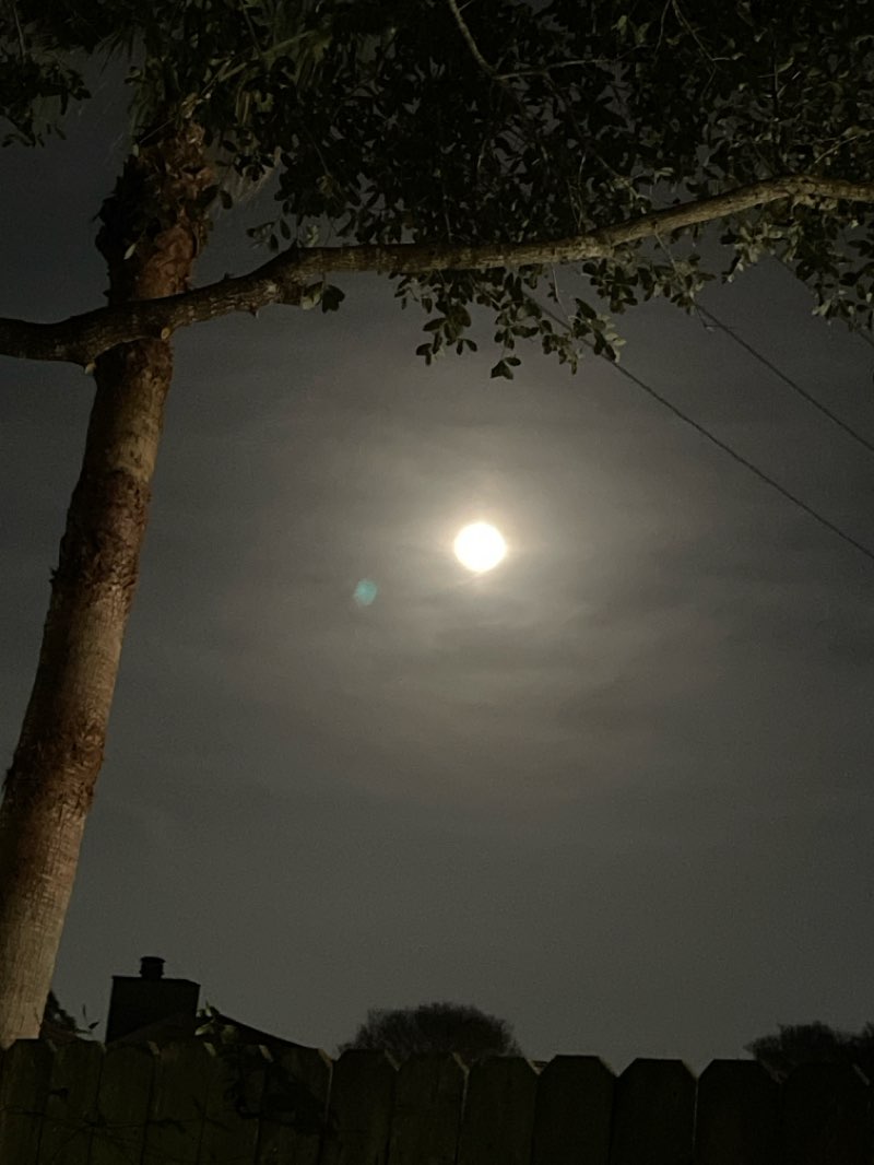 walking near me in Settlers Way Park in spring