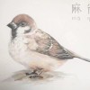 我来了
