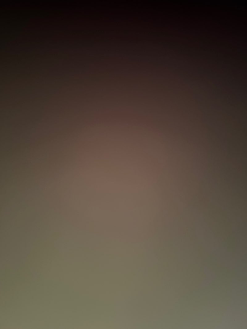 walking near me in Lesher Woods in winter