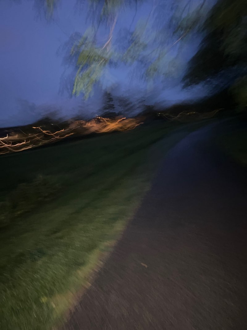 walking near me in Ted Kaltenbach Park in summer