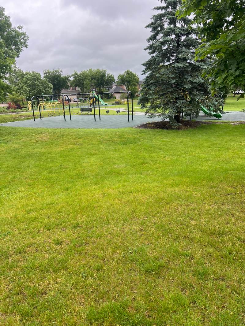 walking near me in Trinity Park in summer