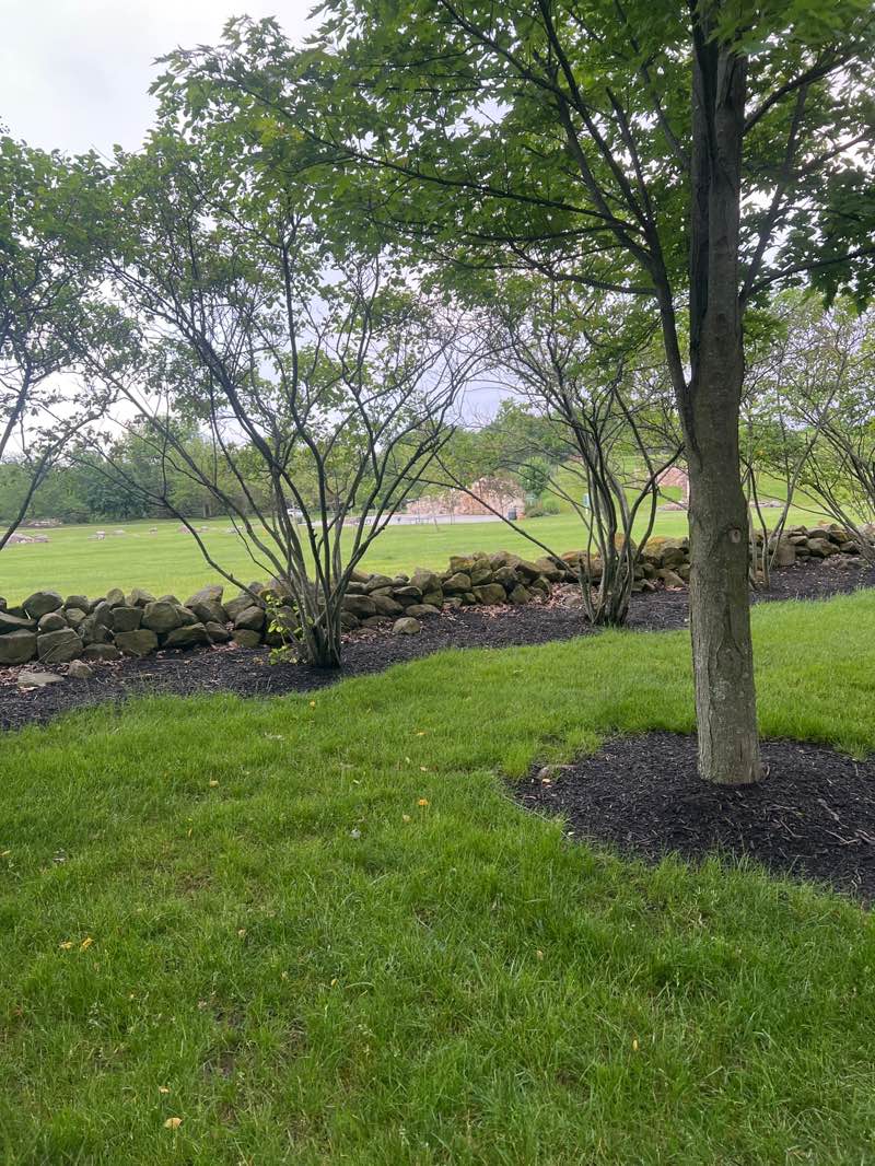 walking near me in Ballantrae Community Park in summer