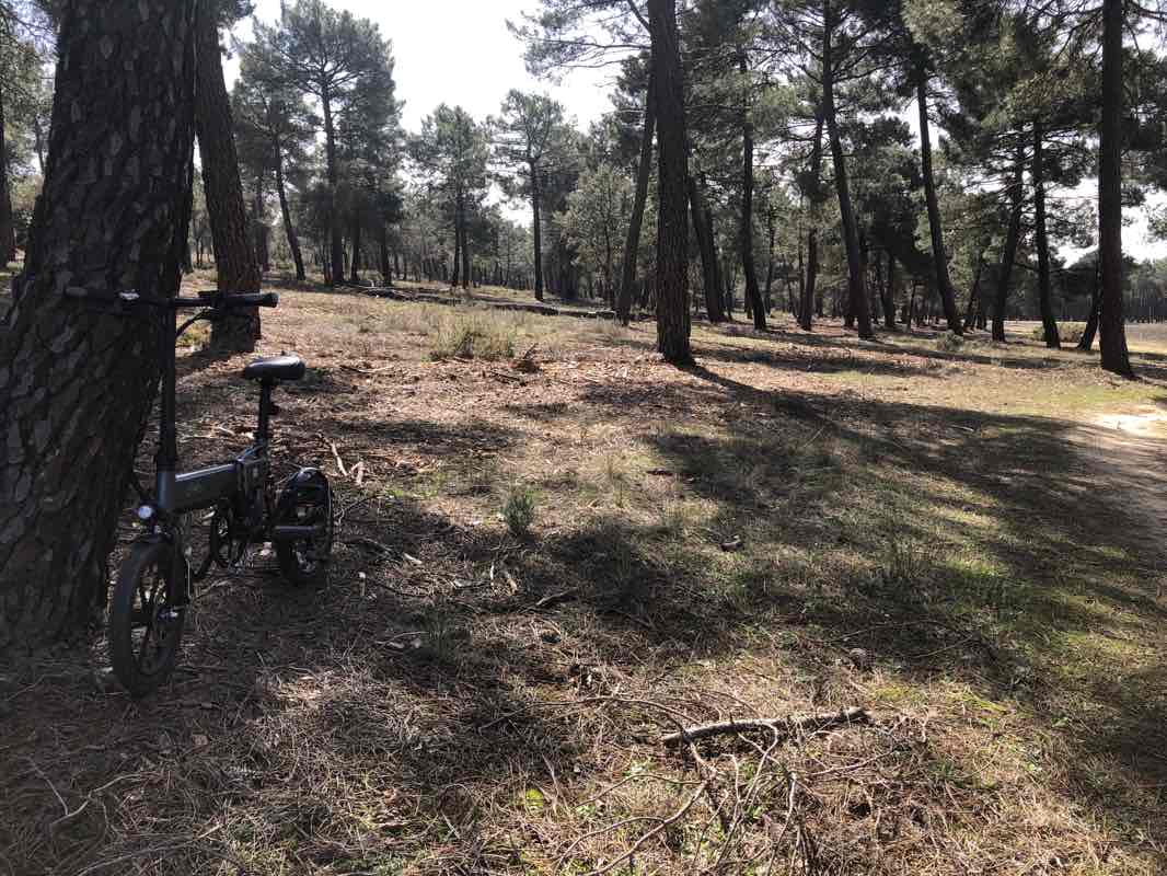 walking near me in Parque de la Arboleda in winter