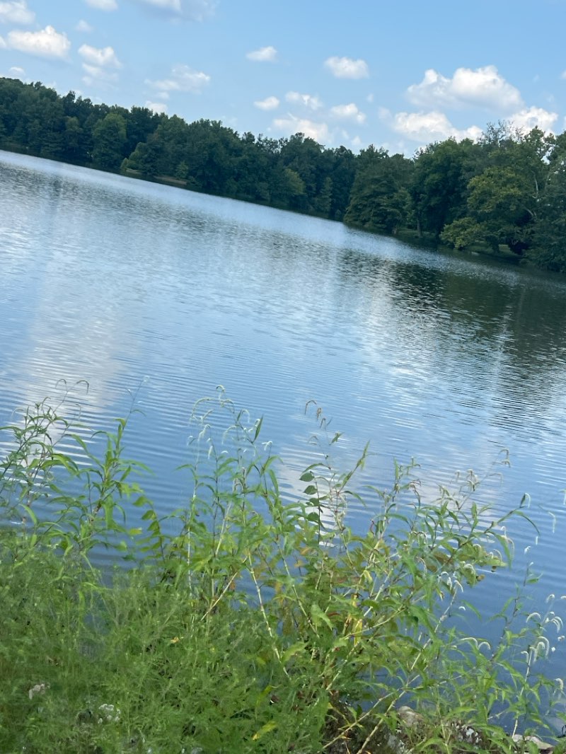 walking near me in New Park in autumn