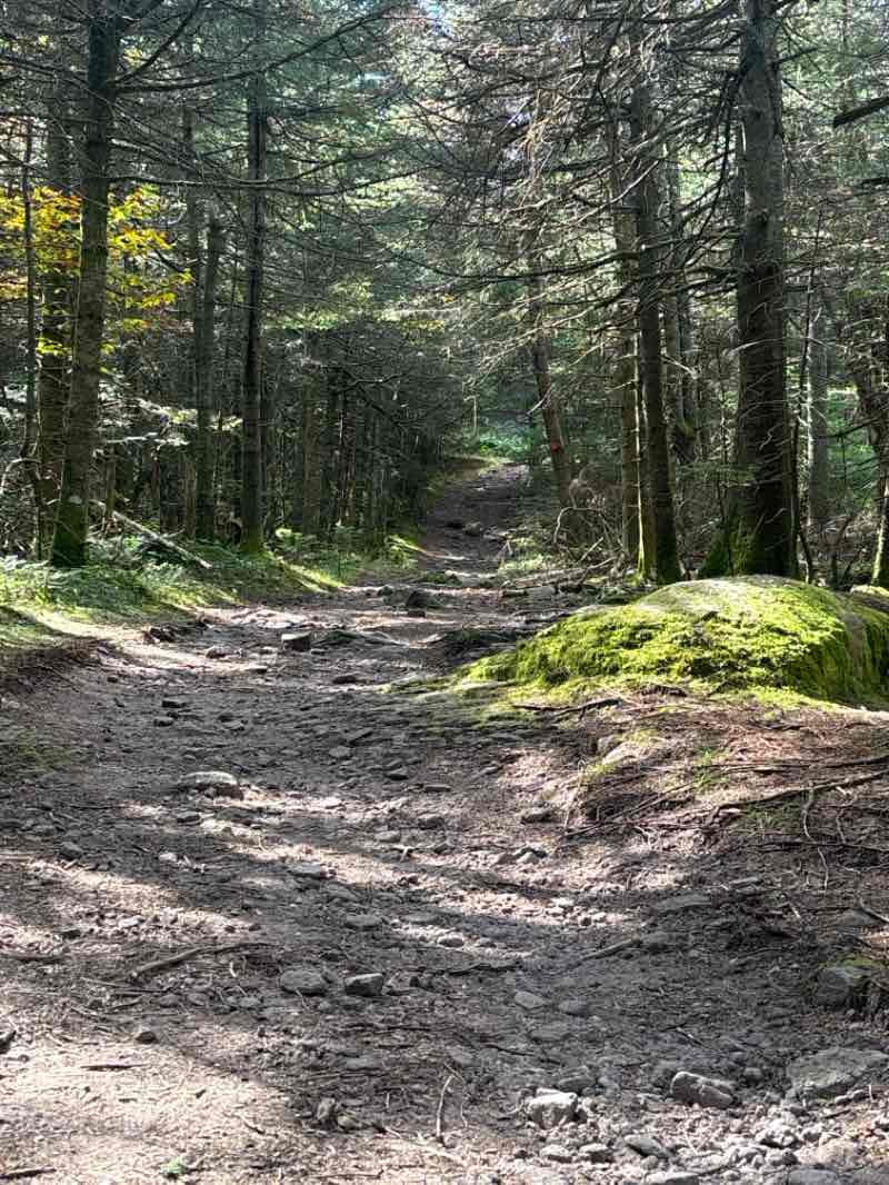 walking near me in Balsam Lake Mountain Wild Forest in winter