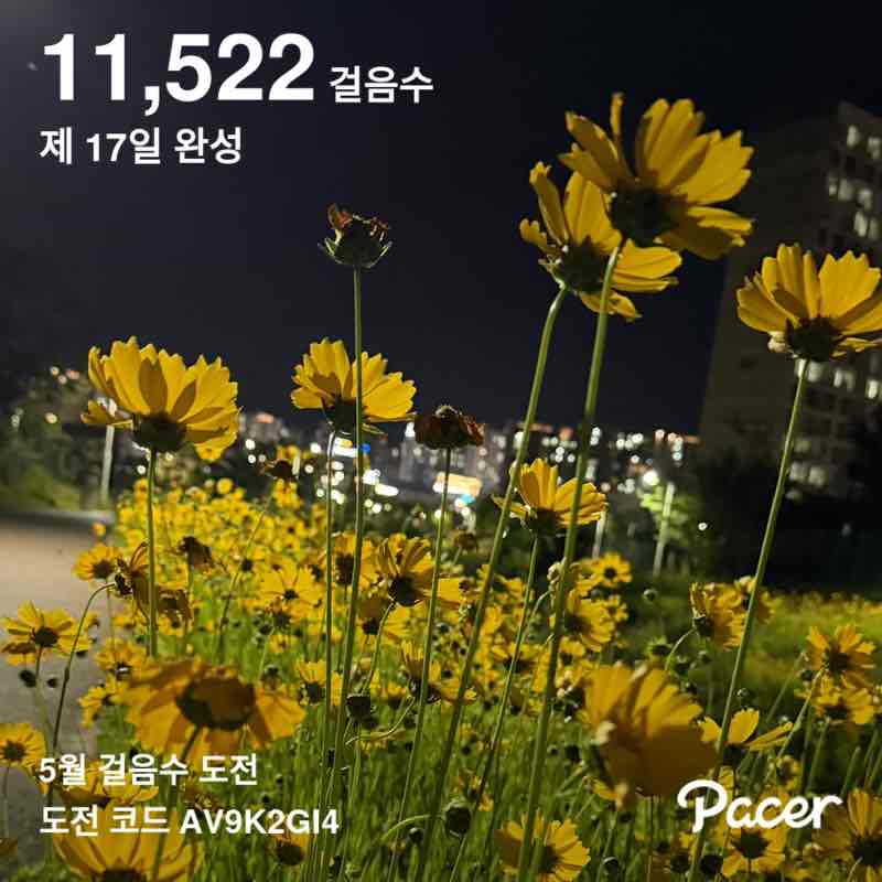 yongja post 1