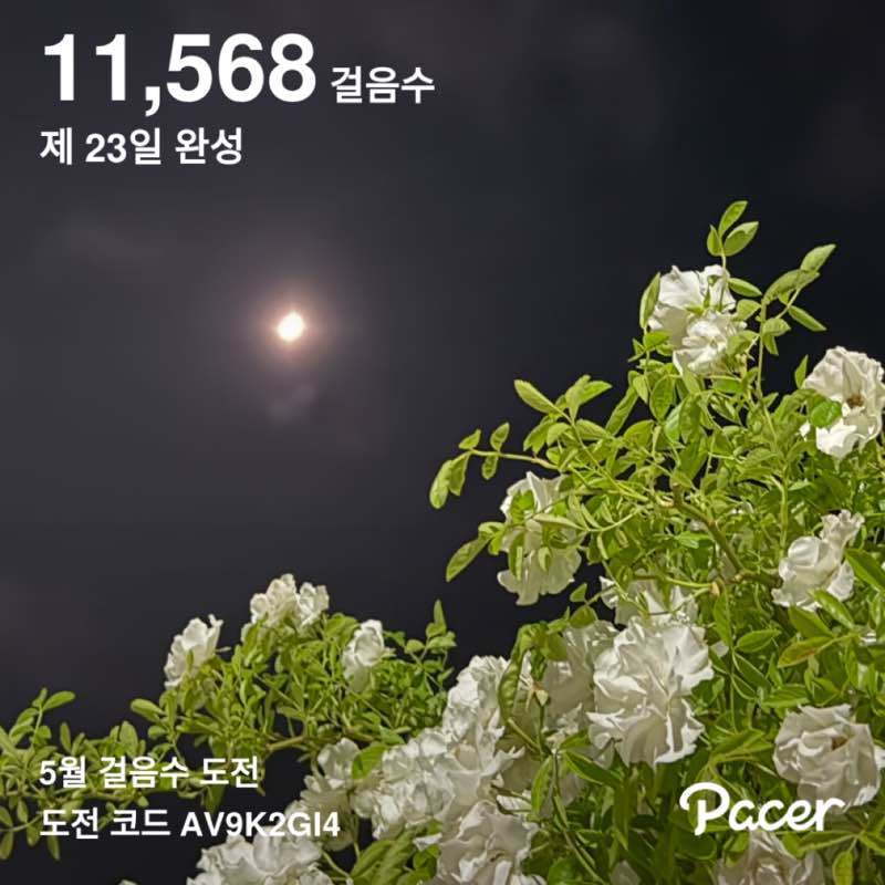 yongja post 1
